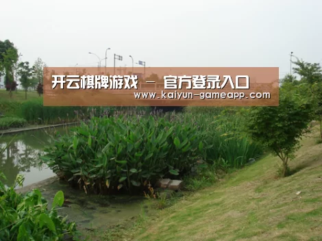 案例展示四(图1)