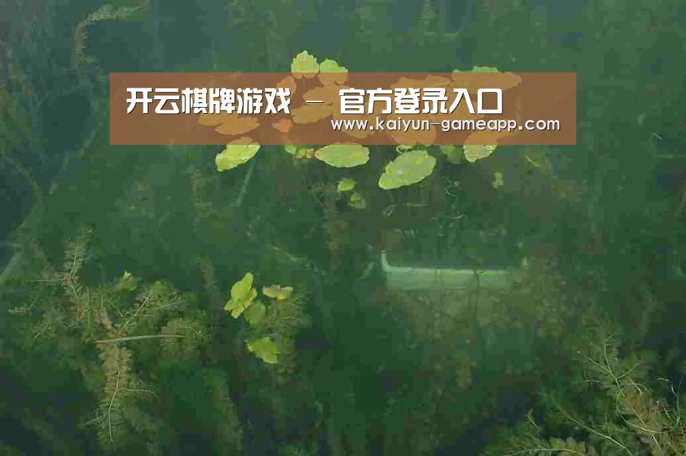 案例展示三(图1)