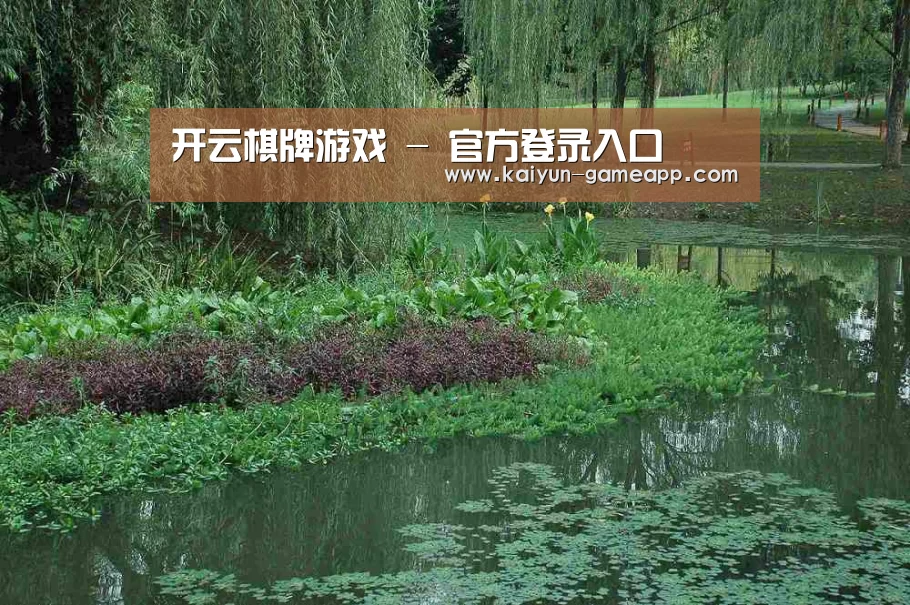 案例展示一(图1)
