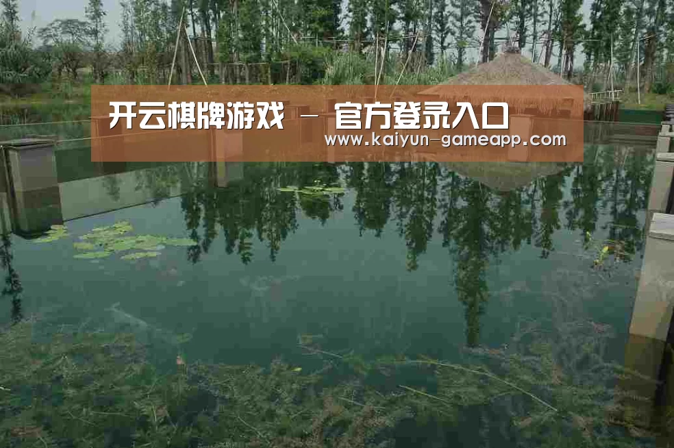 案例展示二(图1)