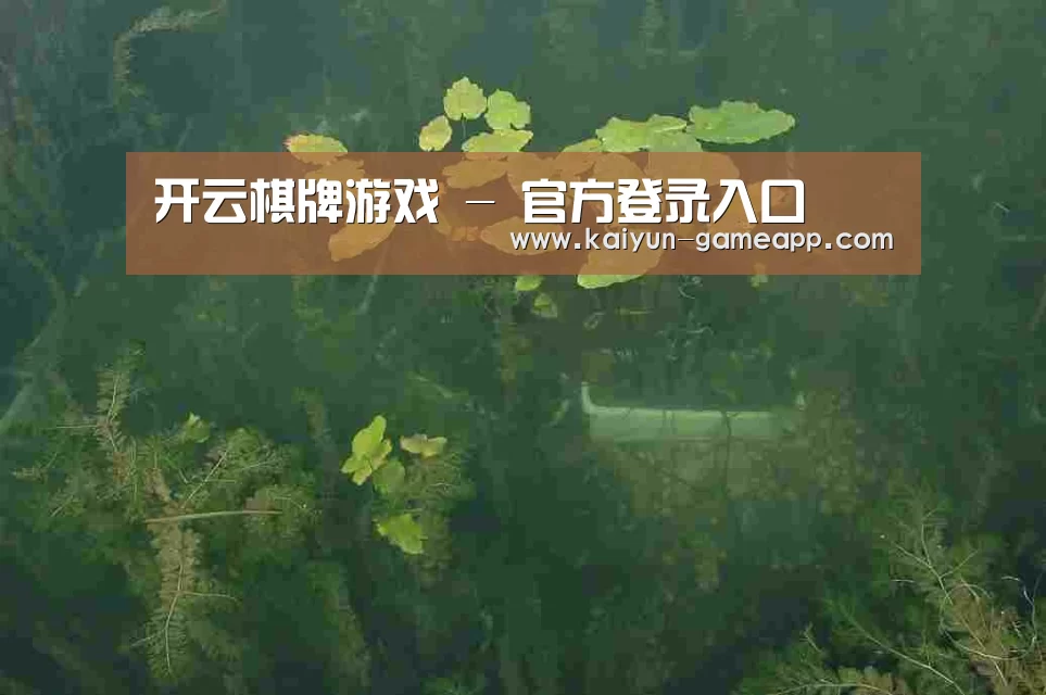 案例展示三
