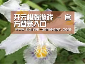 产品名称二