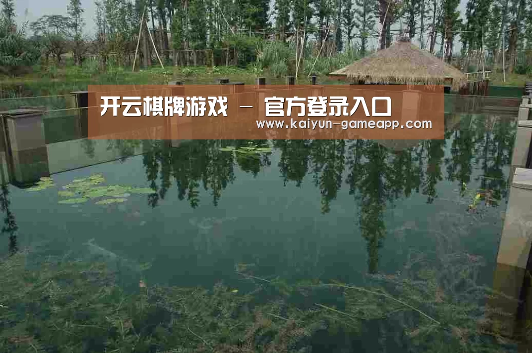 案例展示二