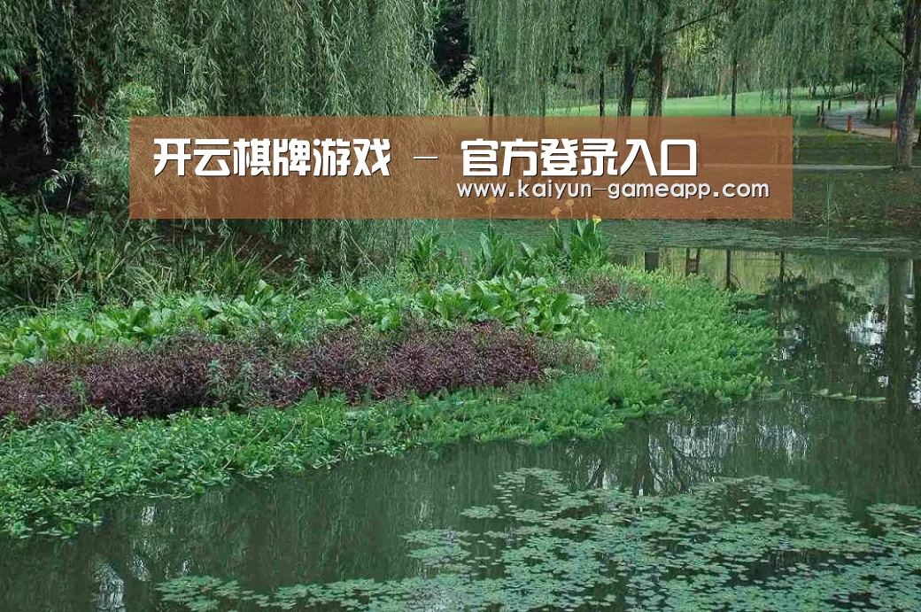 案例展示一