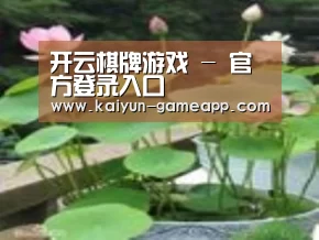 产品名称一