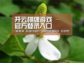 产品名称三