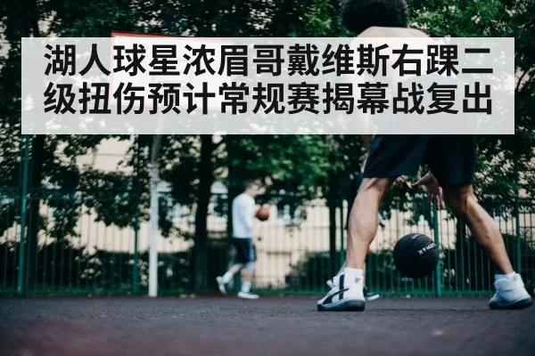湖人球星浓眉哥戴维斯右踝二级扭伤预计常规赛揭幕战复出